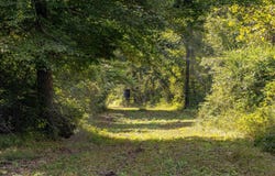0 HWY 51, Durant, MS 39063