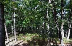 Tract D Hanging Rock Forest Road, Danbury, NC 27016