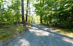 201 Deer Run, Farmville, VA 23901