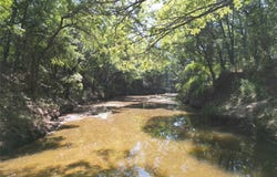 Co Rd 351, Eastland, TX 76448