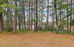 5875 BROOK TR, Eagle River, WI 54521