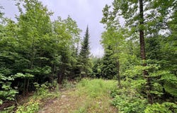 Lot 1 Mt. Jefferson Heights, Lee, ME 04455
