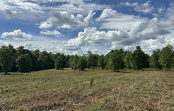 West 58 AC County Road 20/New Ebenezer, Florala, AL 36442