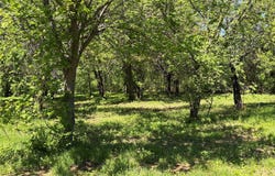441 CR 167 Road, Whitesboro, TX 76273