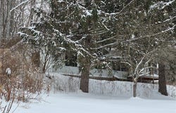294 Will Warner Road, Otselic, NY 13155