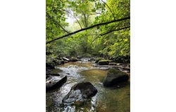 Tract 2 Sheep Ranch Road, Robbins, TN 37852