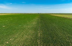 1, Lewis, KS 67552