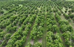 CR 424, Comanche, TX 76442
