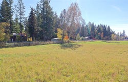 141 Freedom Way, Kalispell, MT 59901