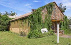 110 E Maurice Linton Road, Perry, FL 32347