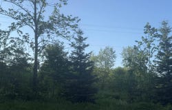 M69 Highway, Sagola, MI 49881