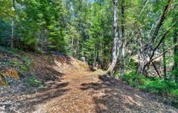 Maple Basin Road, Philo, CA 95466