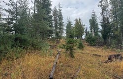 NKA Parcel B, Pinehurst, ID 83850
