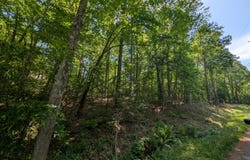 132 Cherokee Drive, Louisburg, NC 27549