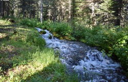 60839 LIBERTY Rd, Joseph, OR 97846