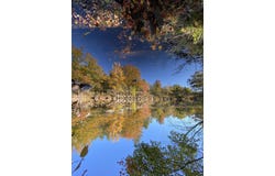 Poppy Lane, Carthage, ME 04224