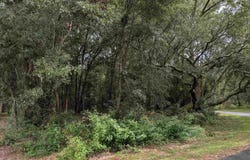 1400 BLK Oak Bend Trl, Cantonment, FL 32533