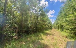 Archie Boyd Road, Jayess, MS 39641