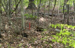 170 Maple Drive, Wardsboro, VT 05355