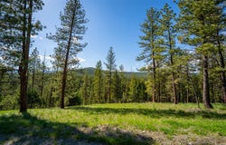 3605 Hubbart Dam Road, Marion, MT 59925