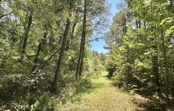 3 County Road 24, Enterprise, MS 39330