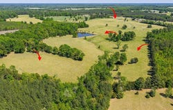 71.16 Ac Highway 49, Buffalo Junction, VA 24529