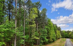 Stuart Road, Quitman, AR 72131