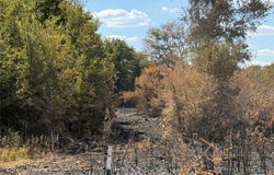 Teague Road, Jacksboro, TX 76458