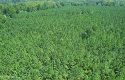 County Rd 2127, McCool, MS 39108
