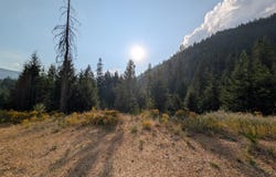 NNA 20.02a Daisy Gulch Rd, Mullan, ID 83846