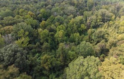 Brushy Creek Road, Rison, AR 71665