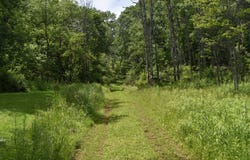 Route 346, Duke Center, PA 16729