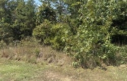 152 County Road 971, Flat Rock, AL 35966