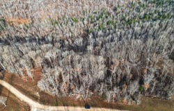 Lot 59 Rustic Valley Dr, Waverly, TN 37185