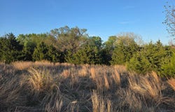 SW 5-27-16, Alva, OK 73717