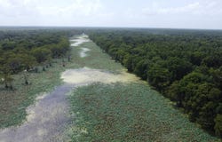 Levee RD, Yokena, MS 39180