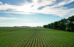 French Road, Concord, MI 49237