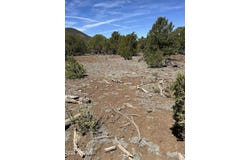 10329 N SAINT FRANCIS Avenue, Williams, AZ 86046