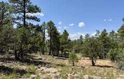 3 Leaning Pine Lane, Ramah, NM 87321