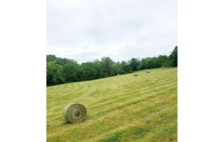 2670 County Road 132, Wasola, MO 65773