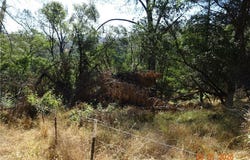 Pinemont, Oroville, CA 95966