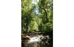 Volcan, Chiriqui,