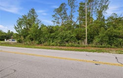 6011 FREEPORT DRIVE, SPRING HILL, FL 34606