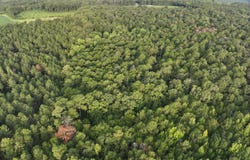 Coogle Road, Oglethorpe, GA 31068