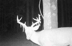 Deer Creek Road lot: 5, Cannelton, IN 47520