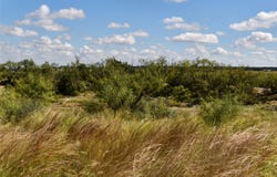 159 Private Road 939, Brady, TX 76825