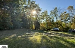 Lakeview Drive, Hale, MI 48739-9128