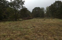Rains County Rd #3150, Emory, TX 75440