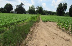Farrand Road, Colon, MI 49040