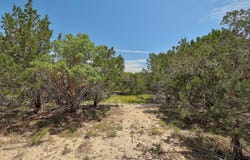 Windy Hills Rd, Dripping Springs, TX 78620